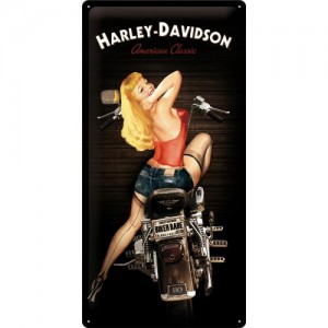 Metalowy Plakat 25 x 50cm...