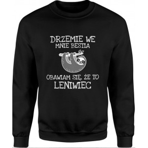 Bluza męska Leniwiec
