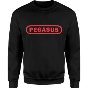 Bluza męska Pegasus konsola...
