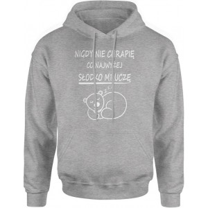 Bluza męska z kapturem Ja...