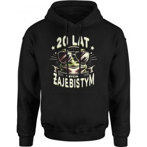 Bluza męska z kapturem 20...
